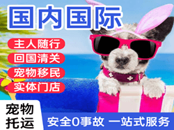 西双版纳机场快递国际宠物托运 【国